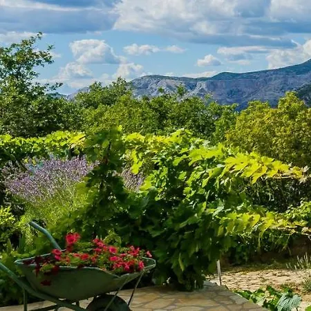 Cherry Tree Semesterbostad